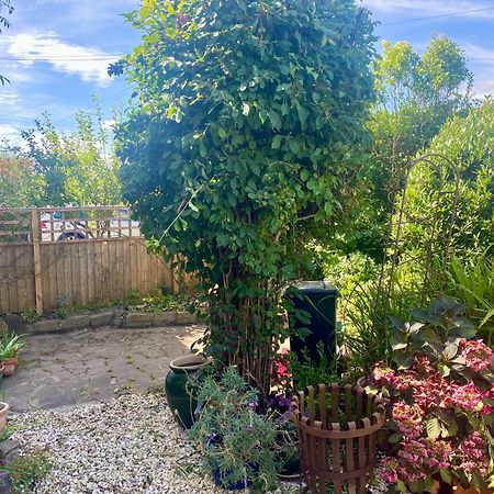 Cute Self-Contained Guest Room With Ensuite And Private Decked Porch In גלסטונברי מראה חיצוני תמונה
