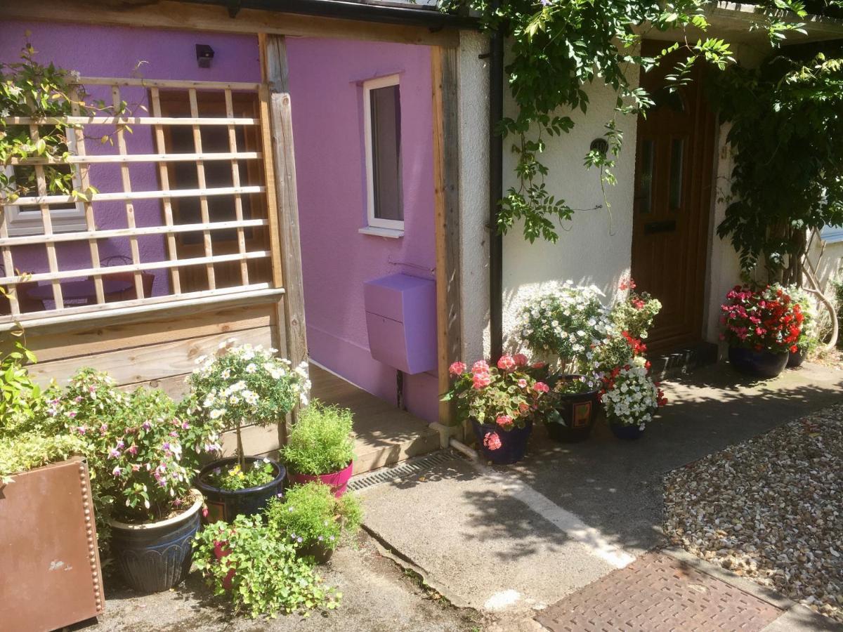 Cute Self-Contained Guest Room With Ensuite And Private Decked Porch In גלסטונברי מראה חיצוני תמונה